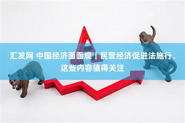 汇发网 中国经济面面观｜民营经济促进法施行，这些内容值得关注