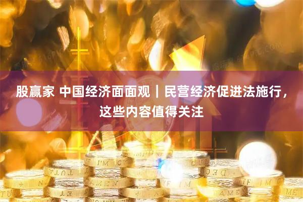 股赢家 中国经济面面观｜民营经济促进法施行，这些内容值得关注