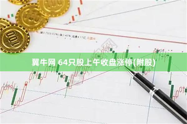 翼牛网 64只股上午收盘涨停(附股)