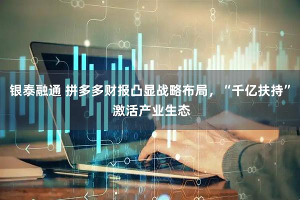 银泰融通 拼多多财报凸显战略布局，“千亿扶持” 激活产业生态