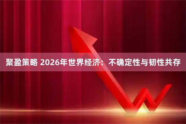 聚盈策略 2026年世界经济：不确定性与韧性共存