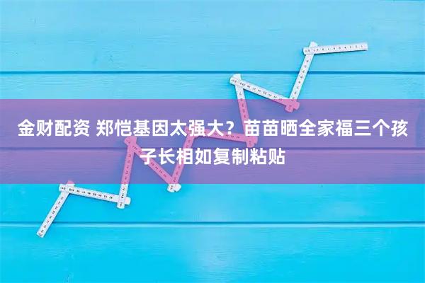 金财配资 郑恺基因太强大？苗苗晒全家福三个孩子长相如复制粘贴