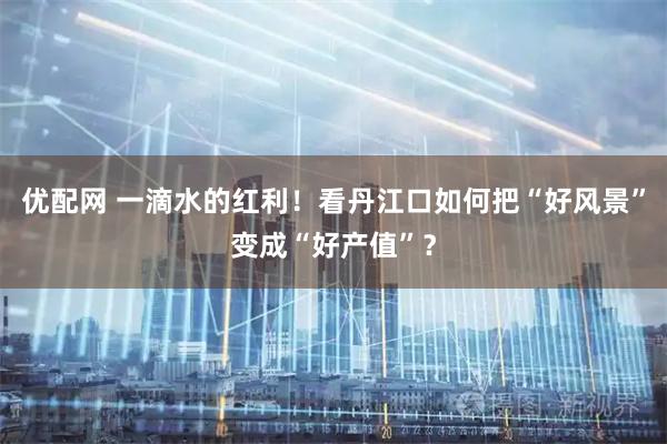 优配网 一滴水的红利！看丹江口如何把“好风景”变成“好产值”？